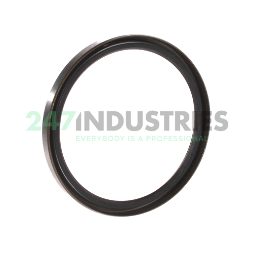 85X100X9SB CHO Champ Oil Seals Image 2