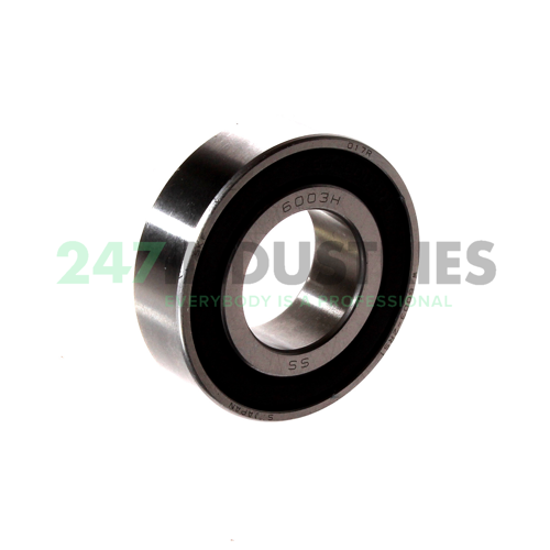 W6003-2RS1 SKF Image 1