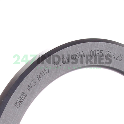 WS81117 INA Image 2