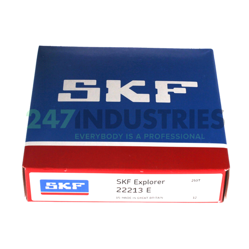 22213E SKF Image 5