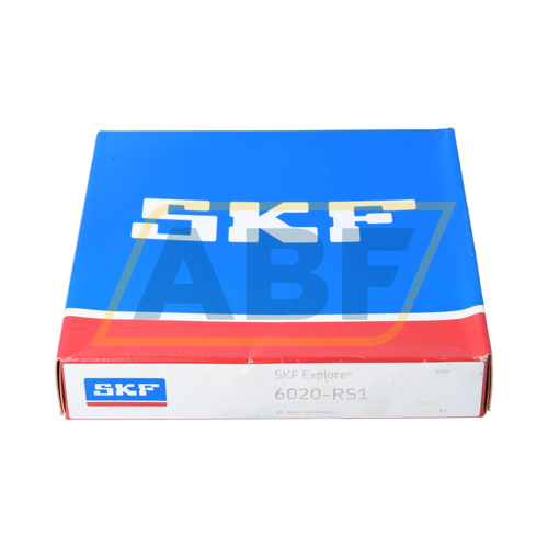 6020-RS1 SKF