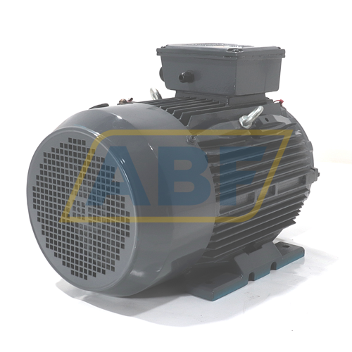 T2C160L-4-B3 TechTop Motor