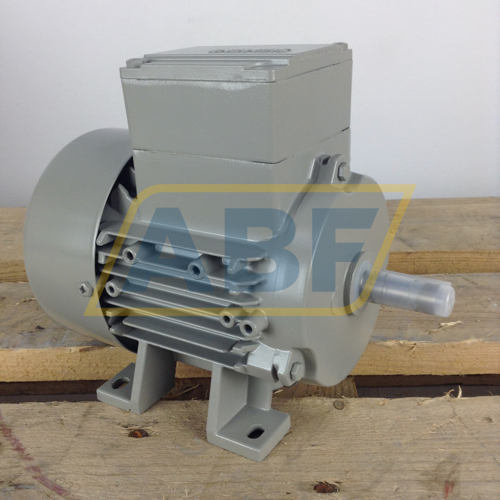 1LE1002-0BA22-2AA4 Siemens