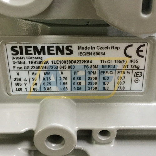 1LE1003-0DA22-2KA4 Siemens