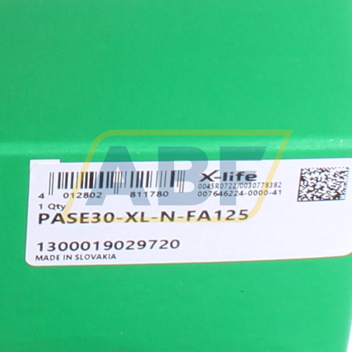 PASE30-XL-N-FA125 INA