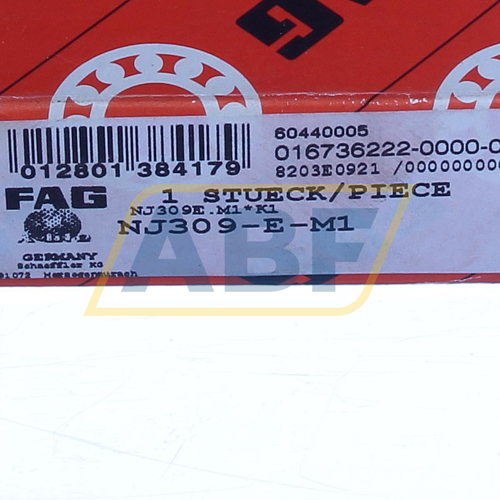 NJ309-E-M1 FAG • ABF Store