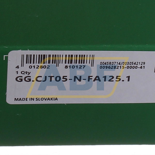 GG.CJT05-N-FA125.1 INA