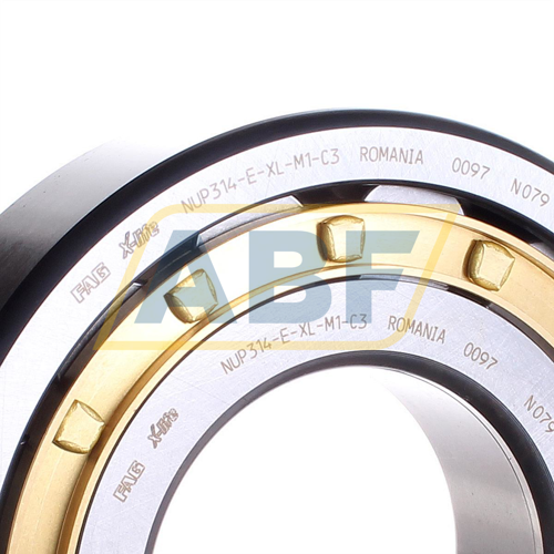 High Capacity 120mm ID Single Row Metric 55mm Width Schaeffler Technologies Co. Straight Bore FAG NUP324E-M1 Cylindrical Roller Bearing 260mm OD Two Piece Normal Clearance Removable Inner Ring 