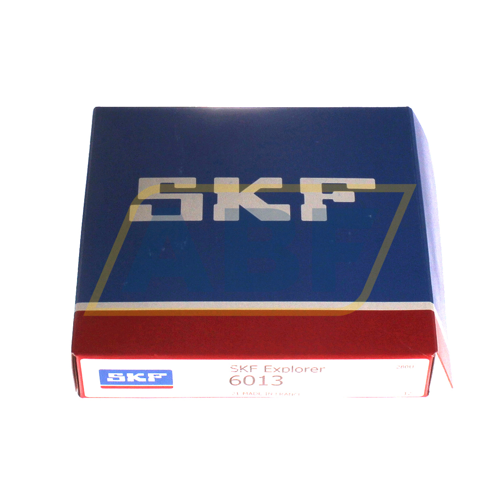 6013 SKF