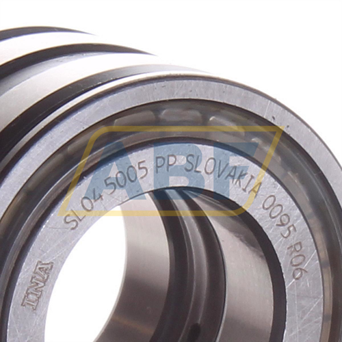 Schaeffler Zylinderrollenlager Typ SL045005-PP INA 