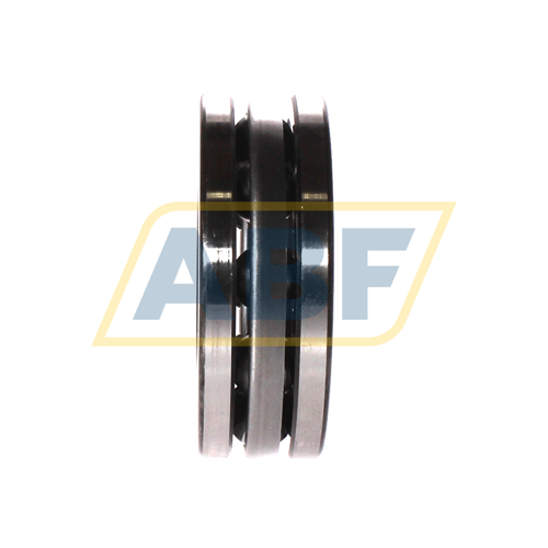 51309 SKF